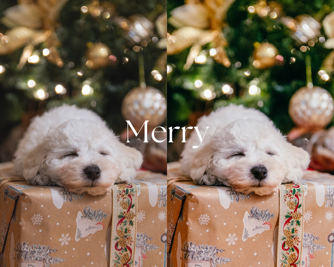 Merry
